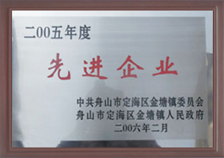 2005年度先进企业